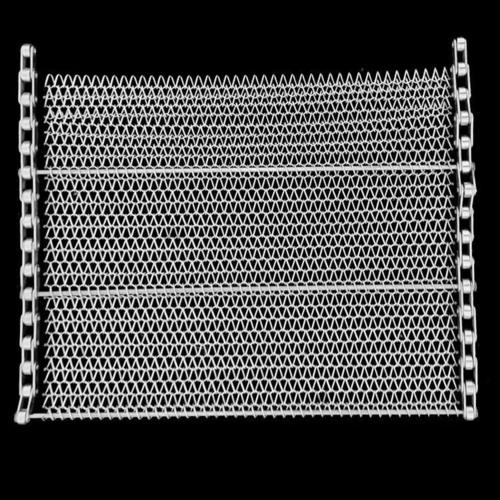 Latest company news about How to choose chain net belt for fried fish tofu equipment factory