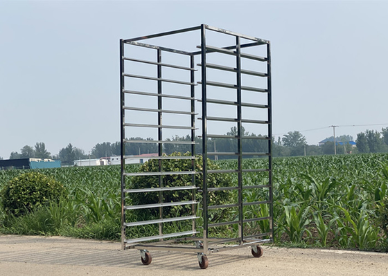 Good price Heavy Duty 304 Stainless Steel Rack Trolley With 300kg Load Capacity online