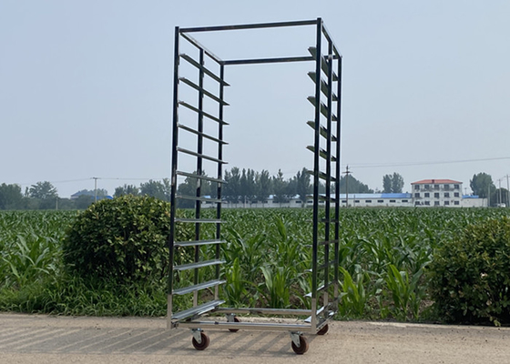 Good price Double Line With Brake And No Brake Stainless Steel 201 304 316 / Aluminium Rack Trolley online