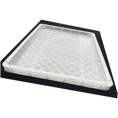 Good price Perforated Food Grade Stackable Plastic Drying Trays For Freezing Of Fruits Vegetables Seafood Freezing Trays online
