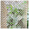 Galvanizing Decorative Wire Mesh Netting With Mesh Size 0.1mm-200mm