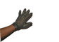 Protective Stainless Steel Gloves Nylon And Metal Belt For Butcher