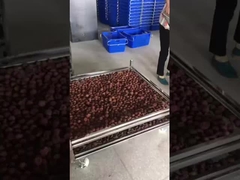 stianless steel wire mesh trolley for drying 