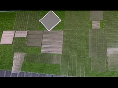 Different kinds of Stainless steel conveyor belt 