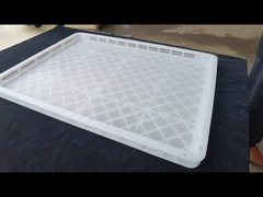 PP PE Freezing Drying Food Tray