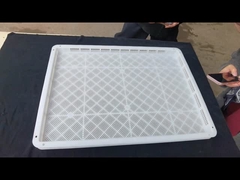 PP Plastic Stackable Drying Food Tray