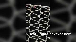 Heat resistant Metal Galvanized Carbon steel dryer Flat Wire Mesh wood chip conveyor belt