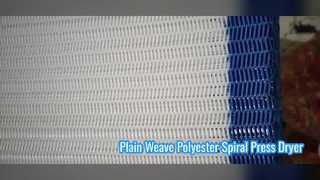 Polyester Spiral Dryer Screen