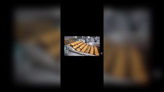 Stainless Steel Pizza Oven Ladder Chain link Conveyor Flat Wire Mesh Flex Belt for chocolate enrobe,