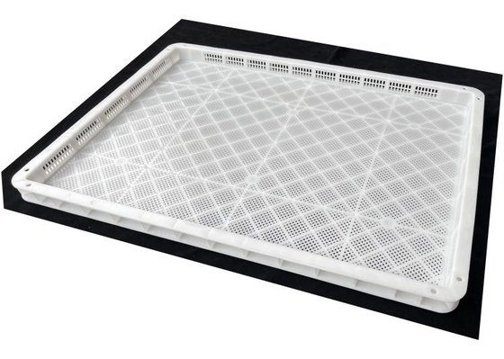 Customizable Food Grade Plastic Vented Tray For Freezing Storage Drying Stacking Fruit Seafood