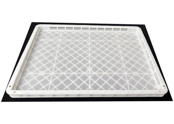 Food Grade Hdpe PP Plastic Curing Drying Trays Sale Stackable Food Drying Plastic Trays